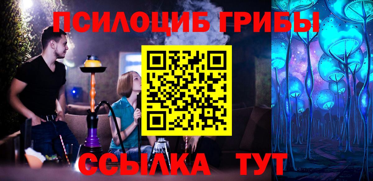 Псилоцибиновые грибы Cubensis Красноуфимск